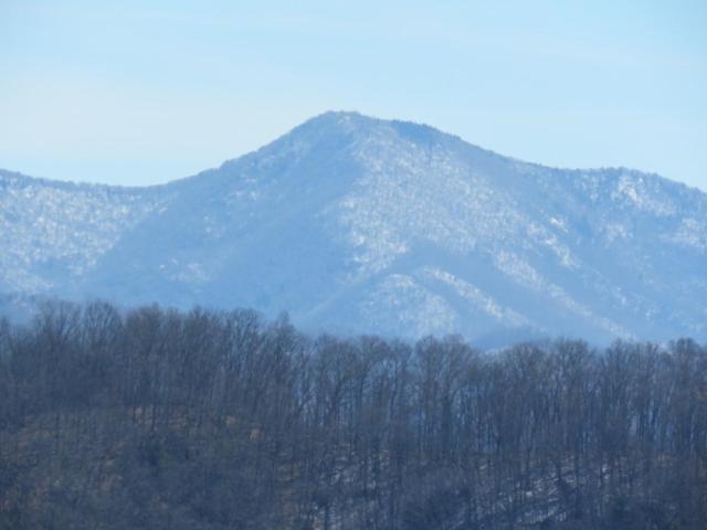Serenity Views Comfort - Close To City & Parkway! Weaverville Luaran gambar