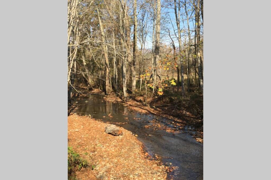Serenity Views Comfort - Close To City & Parkway! Weaverville Luaran gambar